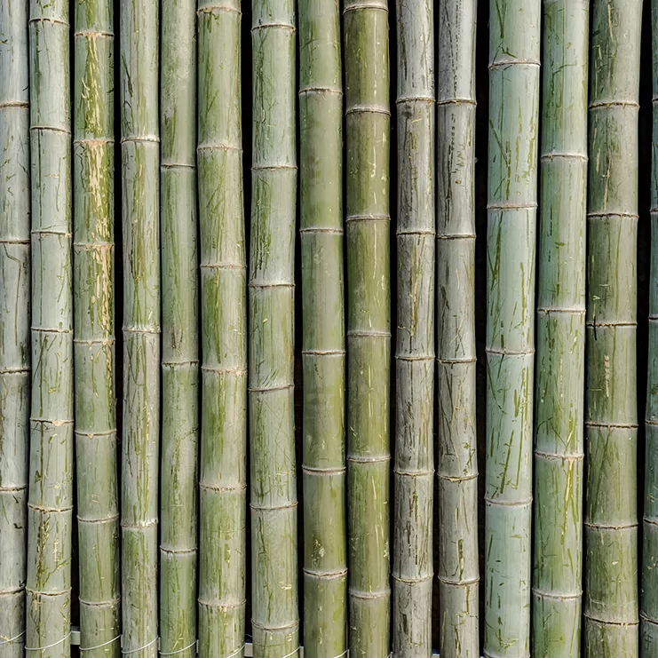 Targeted Ads vs Organic Content: What Your Business in Koh Samui Really Needs; Instagram and Facebook marketing Koh Samui