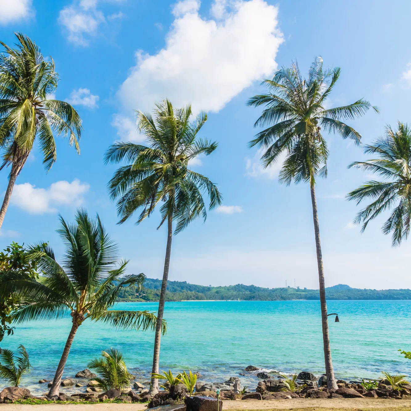 8 Reasons Why Your Meta Ads Aren't Bringing You Clients in Koh Samui; Social media growth for hotels in Koh Samui; Beachfront luxury villa